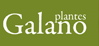 Plantes Galano