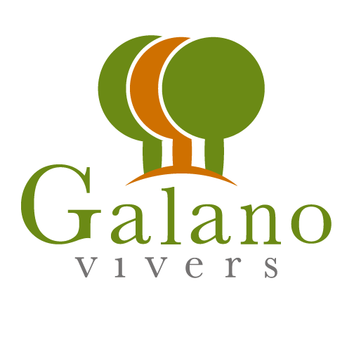 Vivers Galano